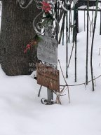 Касихина Анна Михайловна